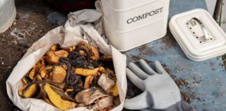 Alternatywa dla kompostu - czy torf jest efektywnym rozwiązaniem