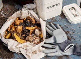Alternatywa dla kompostu - czy torf jest efektywnym rozwiązaniem